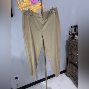 Talbots Classic Curvy Beige Pants